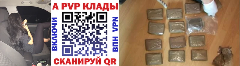 A PVP СК  Кашин 