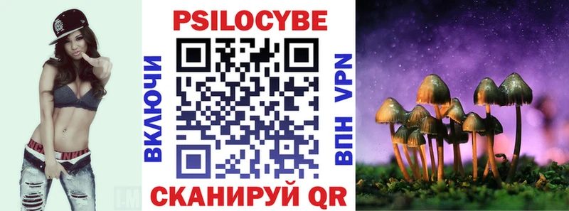 Псилоцибиновые грибы Psilocybe Кашин