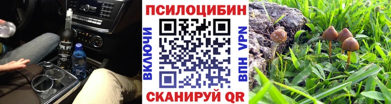 Галлюциногенные грибы Magic Shrooms hydra зеркало Кашин